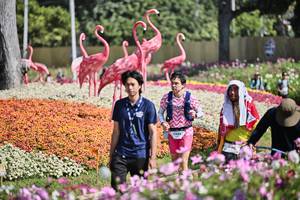 BIB: 
                            <button type="button" onclick="openModal(27793410)" class="btn btn-primary btn-sm float-right btn-popup" data-toggle="modal" data-target=".modal-high-quality">
                        <i class="fas fa-shopping-cart"></i> Add to Cart
                    </button>
                                            <button type="button" onclick="isThisMe(27793410, true)" class="btn btn-success btn-sm float-right btn-popup btn-isme hidden" data-toggle="tooltip" data-placement="bottom" title="นี่คือรูปของคุณใช่ไหม คลิกที่นี่เพื่อเอาเข้าอัลบั้ม">
                        <i class="fas fa-plus"></i> Add to album
                    </button>
                    <button type="button" onclick="isThisMe(27793410, false)" class="btn btn-warning btn-sm float-right btn-popup btn-isnotme hidden">
                        <i class="fas fa-ban"></i> Remove from album
                    </button>